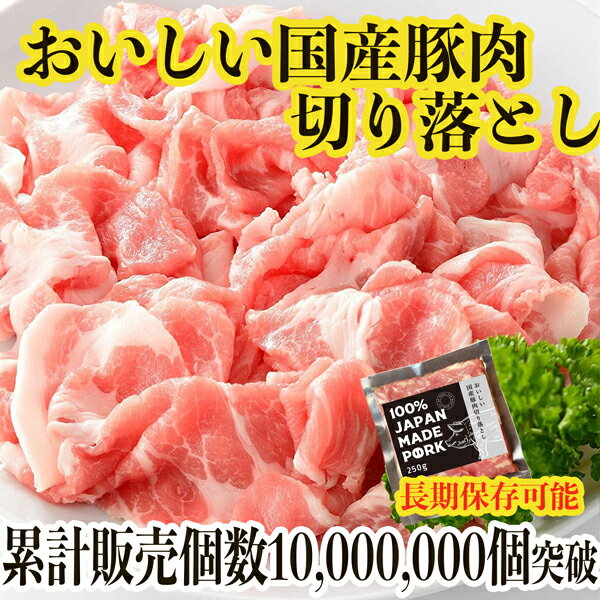国産 小分け パック ご自宅用 大量 真空包装 冷凍 豚肉 豚こま肉 長期保存 切り落とし肉 250 真空パック 細切れ 豚バラ こま 切り落とし 非常食 一人暮らし 国産豚肉 九州産 ぶた肉 こま切れ 豚こま切れ 生姜焼き 肉 国産肉 冷凍肉 焼肉
