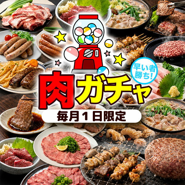 [P2倍マラソン限定/0の日クーポン] 【ワンダフルデー限定】 肉ガチャ 福袋 3000円 ポッキリ ...