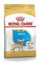 ROYAL CANIN/CJi ` BNH qp 1.5kg@(hbOt[h/ybgt[h//h{H)