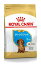 ROYAL CANIN/륫ʥڥåեɡ˥ʻҸѡˡ1.5kgۡ10ޤǡ