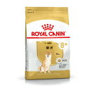 ROYAL CANIN/CJi Č Ep(8Έȏ) 800g