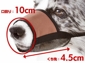 ���ڥͥ��ݥ�2��OK��Petio/�ڥƥ��� ���եȸ��� 2��