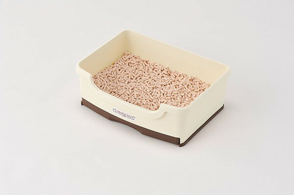 ���ܥ�ӥ��륳��ǭ�ѥȥ��졡���������꡼�ȥ��쥻�åȡ����եۥ磻��