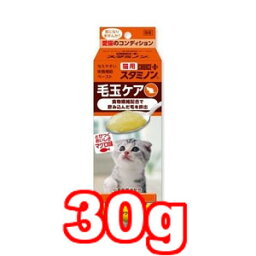 〇アース・バイオケミカル　チョイスプラス 猫用 スタミノン 毛玉ケア ペーストタイプ 30g (ペット/猫/ネコ/サプリメント/国産)