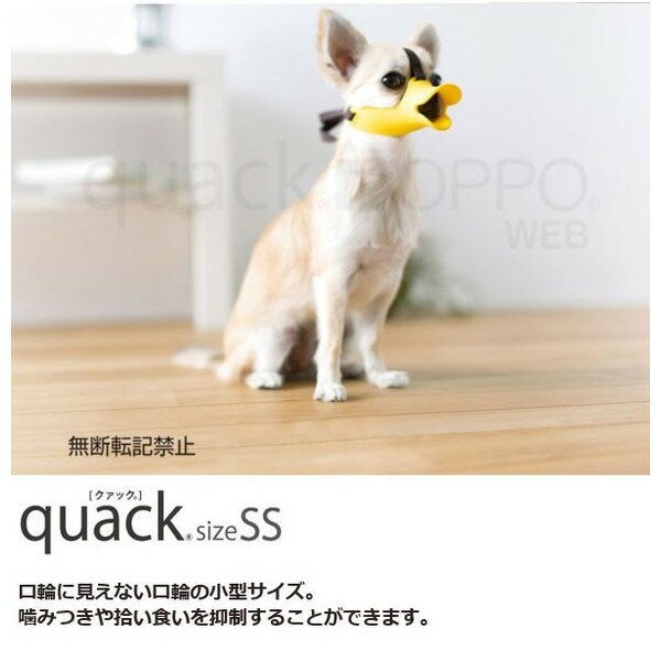 ���ƥ��ȡ�OPPO quack/���åݡ������å� SS������ �֥饦���W��(�ڥå�/��/�ޥ���/����/������)