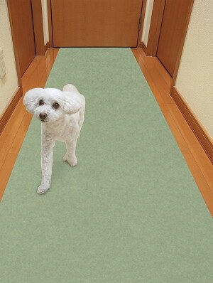 ○サンコー おくだけでズレない 消臭保護マット 60×120cm グリーン [2]