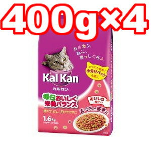 륫ɥ饤ޤڡ1.6kg(400g4) KDN22