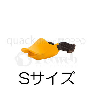 eg quack closed/NAbNEN[Yh STCY IWuWv