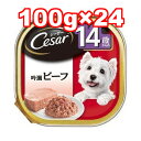 ○マースジャパンリミテッド Cesar/シーザー 14歳からの吟選ビーフ 100g×24個セット CE72N