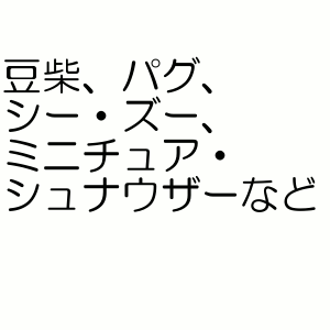 ����ˡ����㡼�� �ޥʡ������� �ˤλ��� M������ �������淿������ 42������ (�ڥå�/��/�ȥ���/�����ä�/�����å�/��)