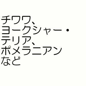 ����ˡ����㡼�� �ޥʡ������� ���λ��� SSS������ Ķ���������� 42������ (�ڥå�/��/�ȥ���/�����ä�/�����å�/��)