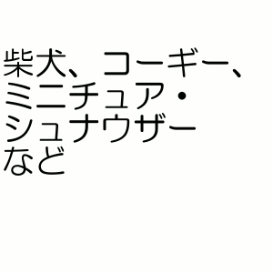 ����ˡ����㡼�� �ޥʡ������� ���λ��� L������ �淿������ 32������ (�ڥå�/��/�ȥ���/�����ä�/�����å�/��)