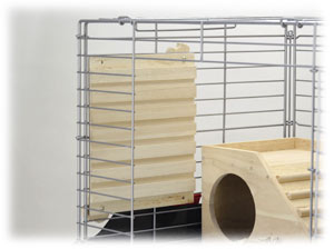 ���������񡡤Ҥä��ڥե��� #493 (�ڥå�/������/������/��ưʪ/����)