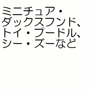 ������˥��㡼�� �ޥʡ������� �ˤλ��� S������ �������� 46������