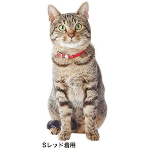 ○【メール便3個・ネコポス4個OK】ADD.MATE/アドメイト レザースタイルキャットカラ...