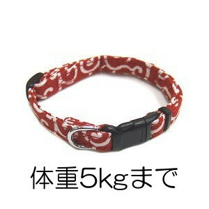 ���ڥ᡼����5�ġ��ͥ��ݥ�6��OK�۲�������ꡡ���åȥ󥫥饯�����顼 ��å� #10(�ν�5kg�ޤ�)