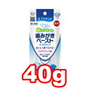 【ネコポス6個OK】アース・ペット エブリデント 歯みがきくん 歯みがきペースト 40g (ペット/犬/猫/ネコ/お手入れ/デンタルケア/歯)(4)