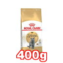 ROYAL CANIN/CJi@ueBbVV[gwA[ Lp 400g