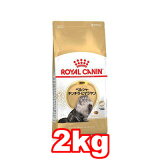 ROYAL CANIN/륫ʥ ڥڥ륷㡦顦ҥޥǭ(1С12)2kg