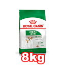 ROYAL CANIN/CJiy~j@A_g^8kgzy10`8΂܂Łz