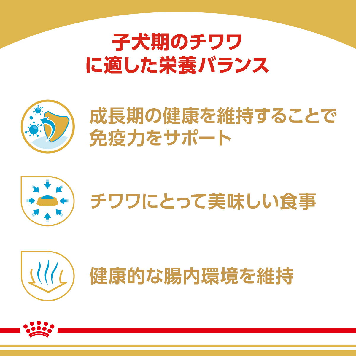 ★【ヤマト運輸配送(北海道・沖縄除く)】[ロイヤルカナン] ブリード ヘルス ニュートリション チワワ 子犬用 (生後8ヵ月齢まで) 800g 3