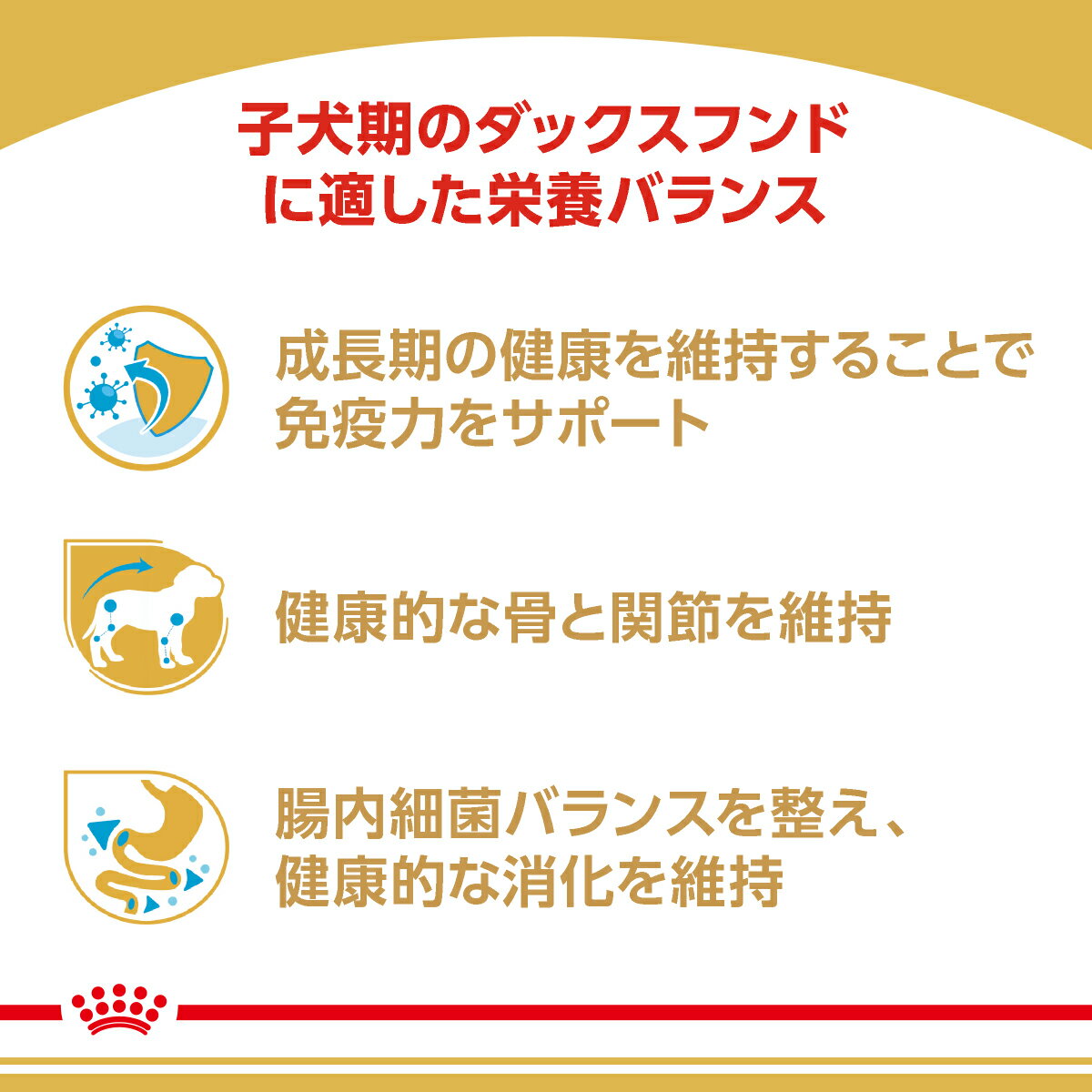 ★【ヤマト運輸配送(北海道・沖縄除く)】[ロイヤルカナン] ブリード ヘルス ニュートリション ダックスフンド 子犬用 (生後10ヵ月齢まで) 1.5kg