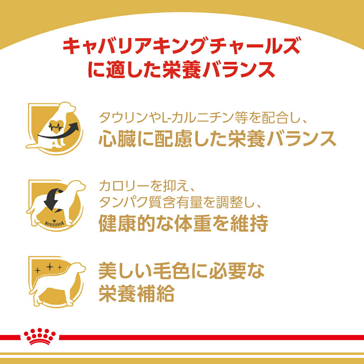 ★【ヤマト運輸配送(北海道・沖縄除く)】[ロイヤルカナン] ブリード ヘルス ニュートリション キャバリア キング チャールズ スパニエル 成犬～高齢犬用 (生後10ヵ月以上) 3kg