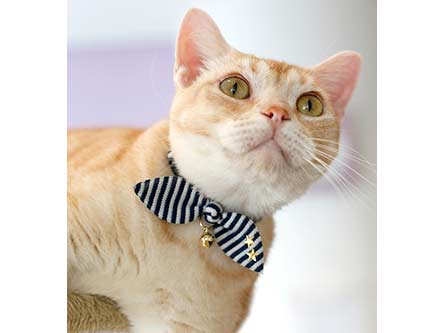 ●【メール便3個・ネコポス6個OK】【アモワークス】Cat Amo.k　マリンボーダー　カラー　S・Mサイズ　猫用（レッド・ネイビー）