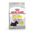 ROYAL CANIN/CJiy~j_[}RtH[g@2kgz`pi10Jȏj@畆̌Nێp@^piK̏d10kg܂Łjz