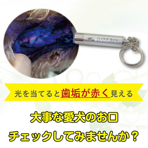 ○【メール便4個OK】株式会社ケーピーエス　ハノケア　チェックライト　歯磨きがちゃんとできているかのチェックに(4)