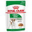 ڥ᡼8ġͥݥ10OKROYAL CANIN/륫ʥSHN-WETߥˡȡѥ85gھѡ