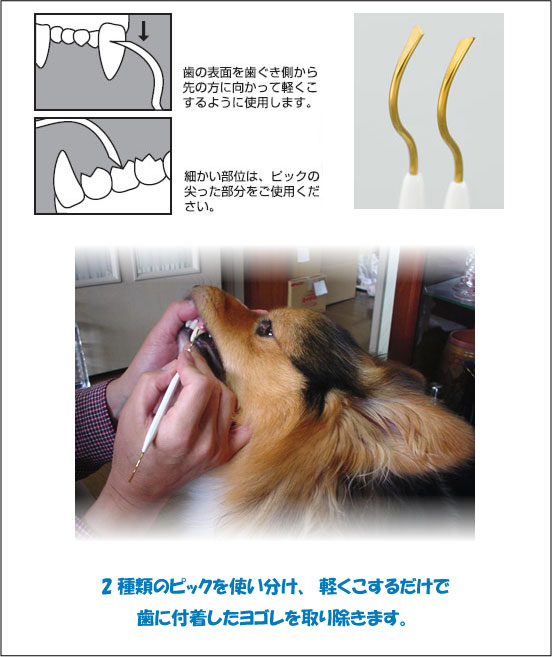 ○【ネコポス4個OK】【　MU　犬口ケア　ピック＆ピック　】歯茎側から先の方に向かって使用すると安全です（日本製）「マインドアップ」P