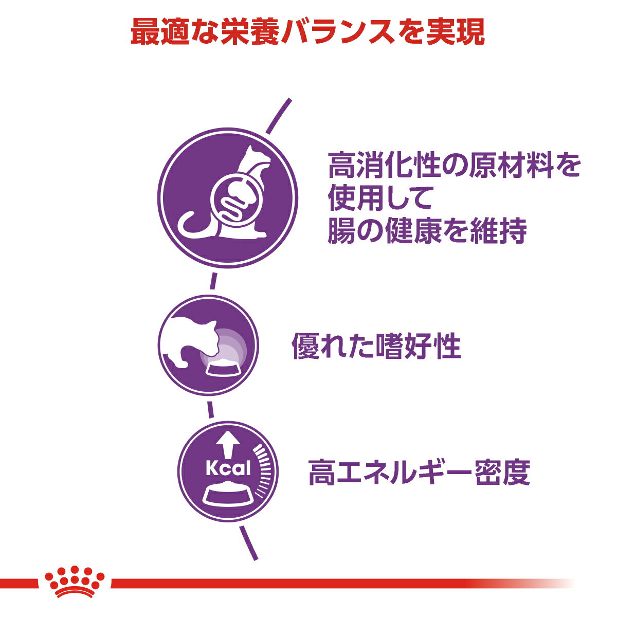 ★【ヤマト運輸配送(北海道・沖縄除く)】[ロイ...の紹介画像2