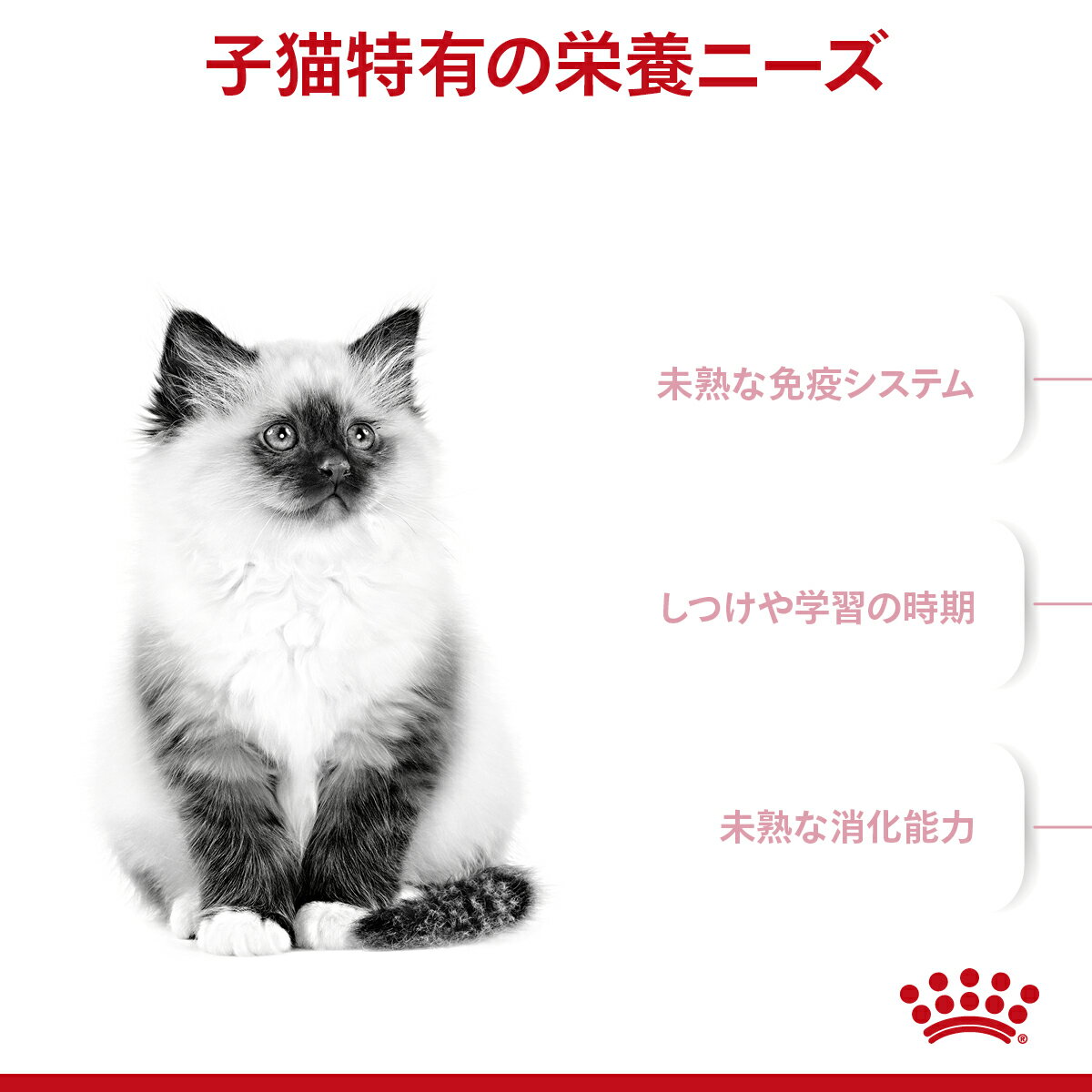 ★【ヤマト運輸配送(北海道・沖縄除く)】[ロイ...の紹介画像2
