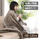 【あす楽・一年保証】電気毛布 掛け 敷き 188×130cm 両面 フランネル 洗える ダブル 2人 ボタン付き タイマー付 9段階温度 省エネ ダニ退治 丸洗い 自動電源オフ ひざ掛け 肩掛け 電気敷き毛布 大判 節電 寒さ対策 電気ブラケット 無料ラッピング