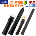 【5 OFFクーポン！9日20時～】 腕時計 ベルト 時計 バンド 初めて 牛革 10mm 11mm 12mm 13mm 14mm 15mm 16mm 17mm 18mm 19mm 20mm 革 1000円 BAMBI バンビ 交換 替えベルト 初心者 XP-49