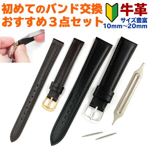 腕時計 ベルト 時計 バンド 初めて バネ棒 交換工具 セット 牛革 10mm 11mm 12mm 13mm 14mm 15mm 16mm 17mm 18mm 19mm 20mm 革 交換 BAMBI バンビ 替えベルト 初心者 XP-49