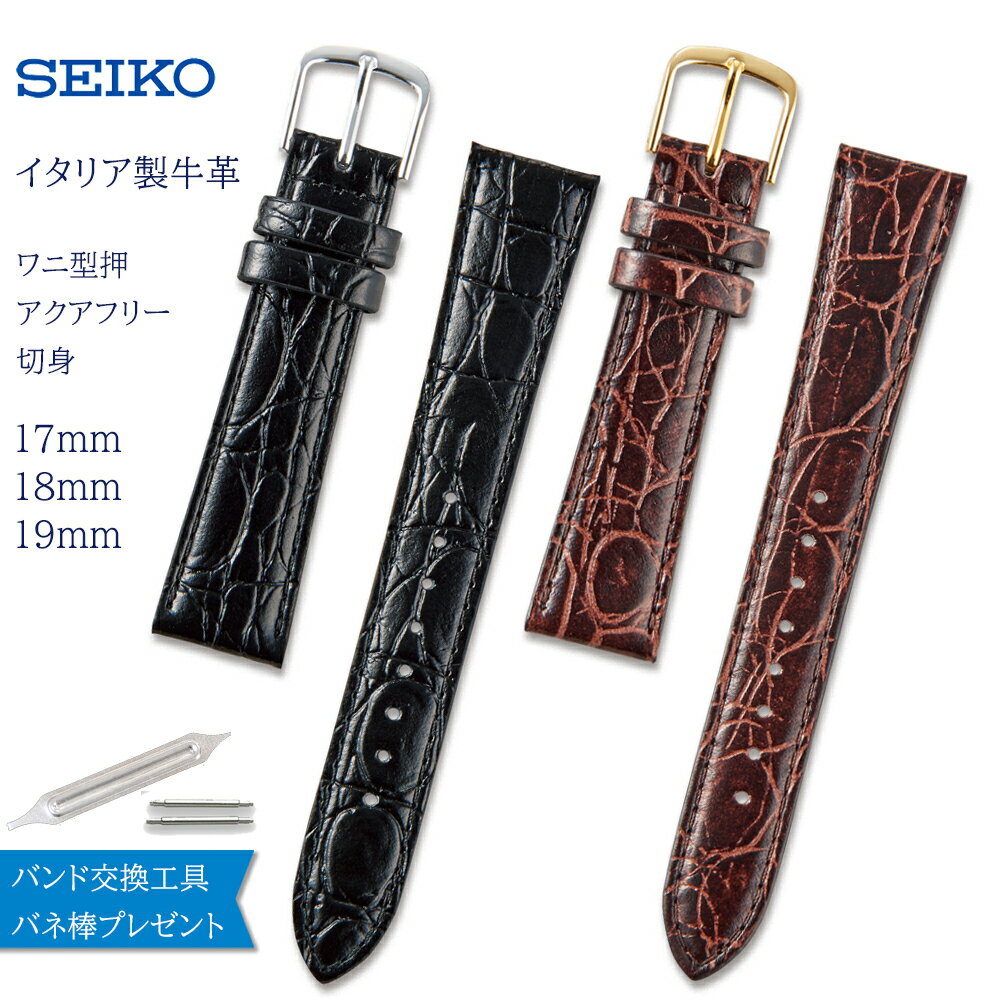 楽天市場】セイコー 純正 ステンレス バンド 18mmの通販 楽天市場】セイコー 純正 ステンレス バンド 18mmの通販