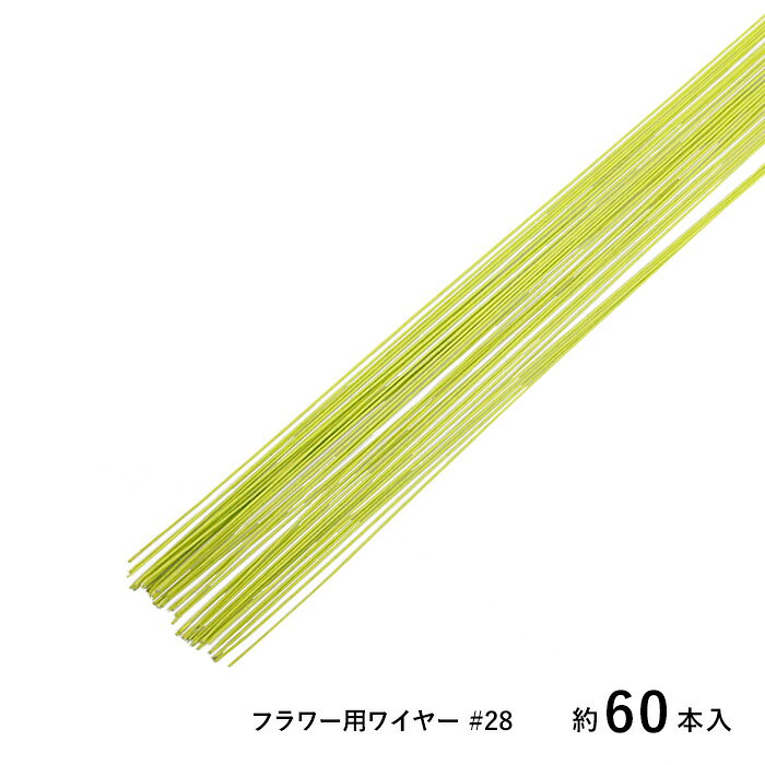 商品名：SUNRISE 地巻ワイヤー フラワー用ワイヤー #28 ライトグリーン 約60本入品　番：fw-lg28サイズ：#28(φ0.34mm)/ 長さ:約36cm容量：約60本入フラワーアレジメントやクラフト製作に使用するワイヤーです。 太さは数字が大きくなるほど細くなります。商品名：SUNRISE 地巻ワイヤー フラワー用ワイヤー #28 ライトグリーン 約60本入サイズ：#28(φ0.34mm)/ 長さ:約36cm