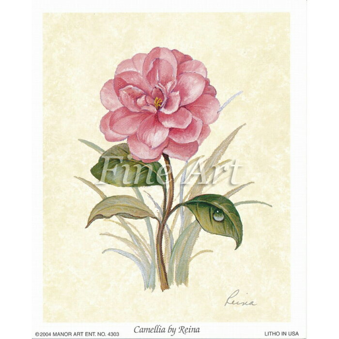 シャドープリント「カメリア」FA18-008 メール便/宅配便可