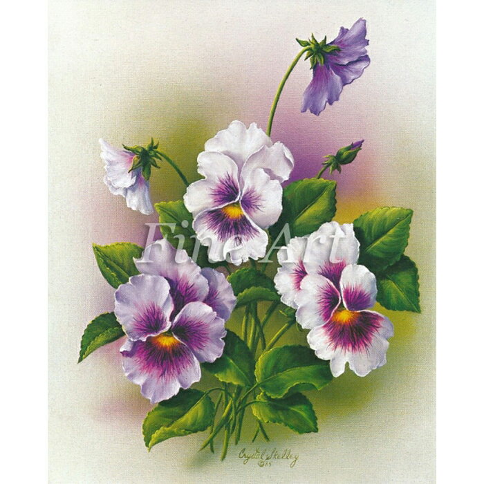 乐天商城 - シャドープリント「パンジー（4×5インチ）」FA18-010 メール便/宅配便可