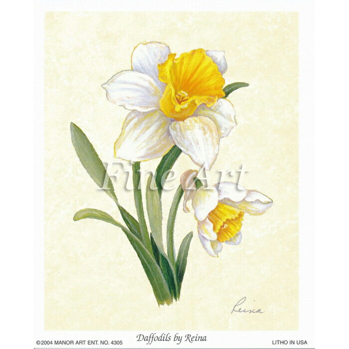 乐天商城 - シャドープリント「水仙」FA18-030 メール便/宅配便可