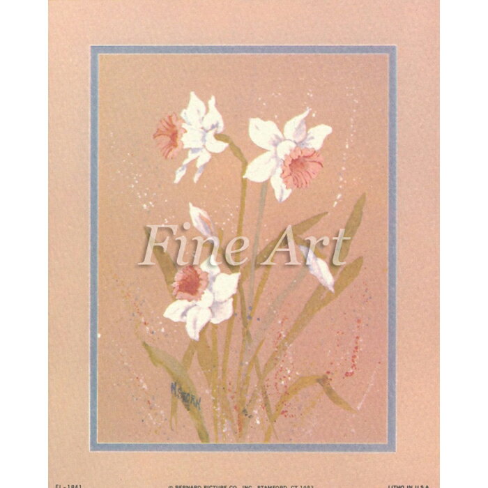 乐天商城 - シャドープリント「水仙1」FA18-032 メール便/宅配便可