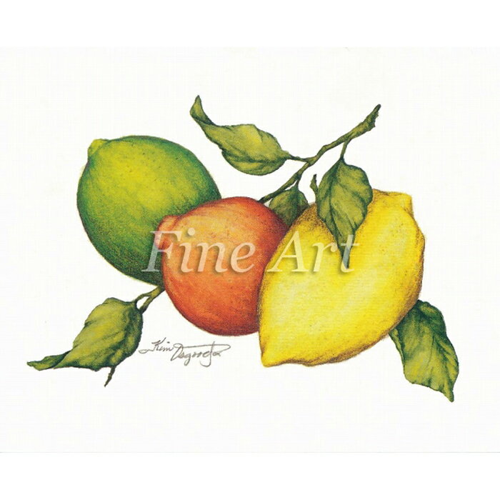 乐天商城 - シャドープリント「レモン2」FA18-099 メール便/宅配便可