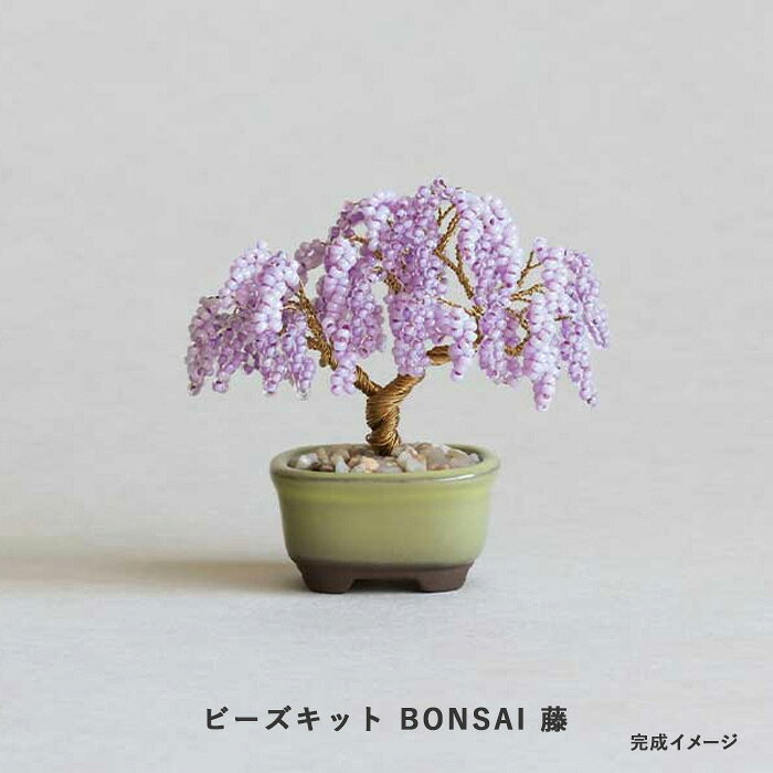 楽天市場】盆栽 藤（日用品雑貨・文房具・手芸）の通販