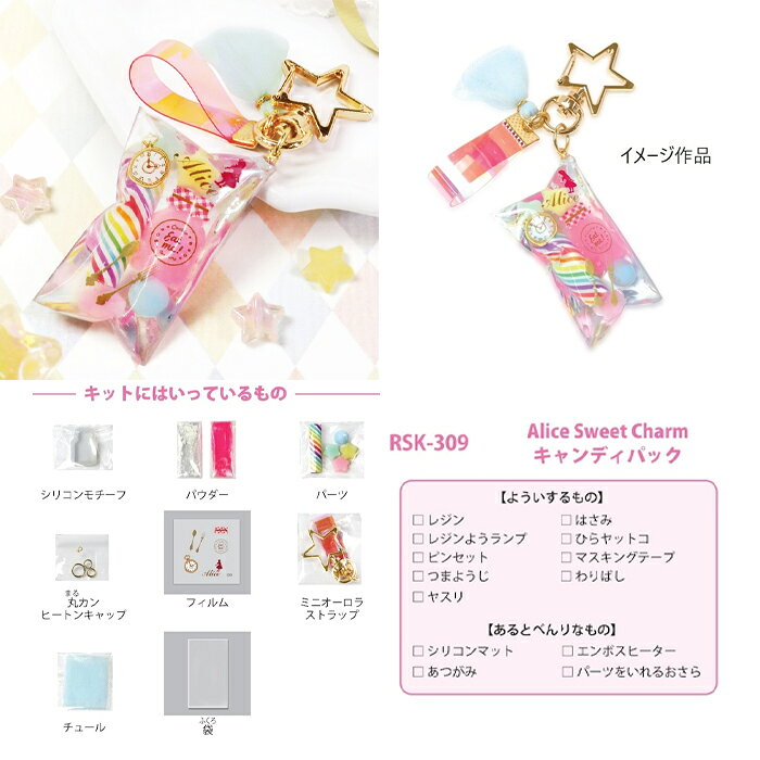 �쥸�󥯥�ե� �쥸��Ǻ�륢�ꥹ�������ĥ��㡼�� �����ǥ��Хå� �᡼����/�����ز� rsk-309