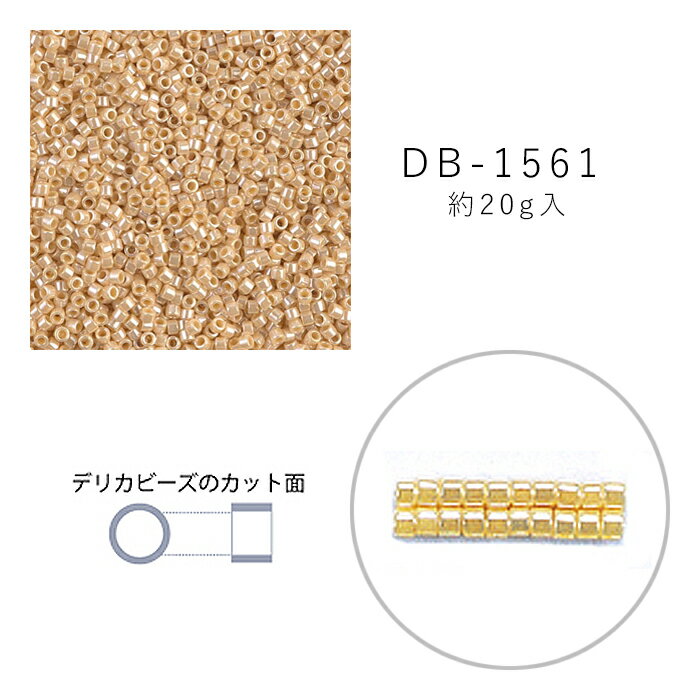 MIYUKI デリカビーズ DB-1561 ダークアイボリーギョクラスター 20g メール便/宅配便可 db-1561-20g