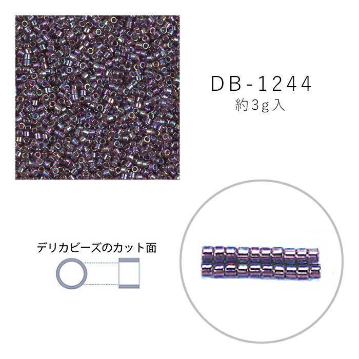 MIYUKI デリカビーズ DB-1244 ダークア