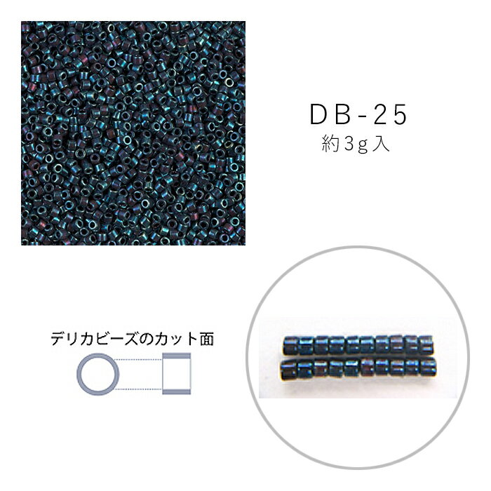 MIYUKI デリカビーズ DB-25 こげ金ラスター紫AB 3g メール便/宅配便可 db-25-3g