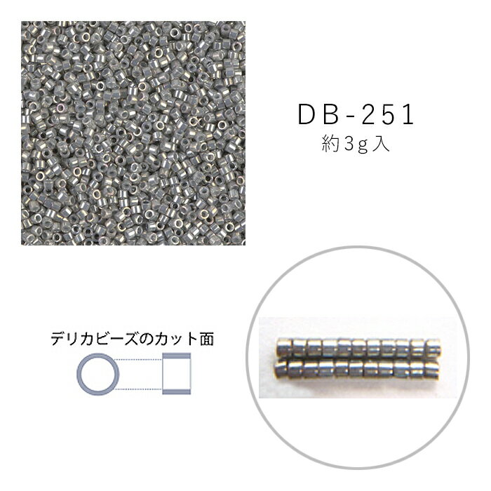 MIYUKI デリカビーズ DB-251 白ギョクゴールドラスターABダークグレー 3g メール便/宅配便可 db-251-3g